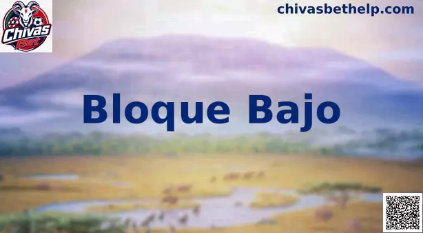 Bloque bajo táctica defensiva